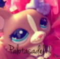 /album/fenykepgaleria/profilprofi1-jpg/
