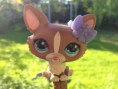 /album/fenykepgaleria/lpsfotto14-jpg/