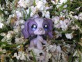 /album/fenykepgaleria/lpsfotto7-jpg/