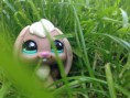 /album/fenykepgaleria/lpsfotto8-jpg/