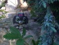/album/fenykepgaleria/lpsfotto9-jpg/